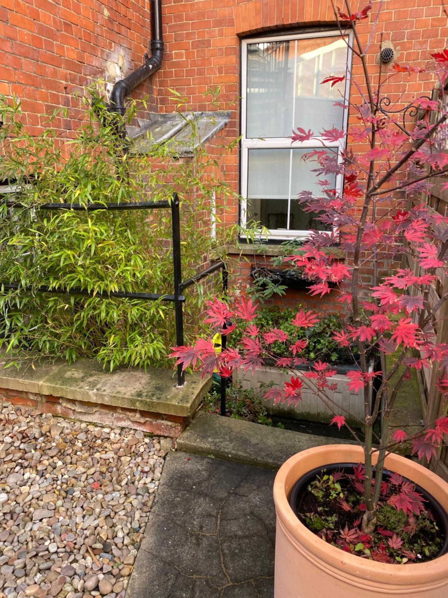 Deluxe Three Bed Bnb In Henley-On-Thames Near Station River & Town Centre Dış mekan fotoğraf